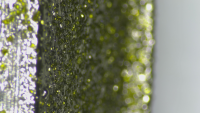 Micro-structure Analysis of Electroplated diamond grinding wheel